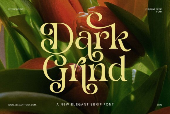 Dark Grind: The Modern Serif with a Classic Edge