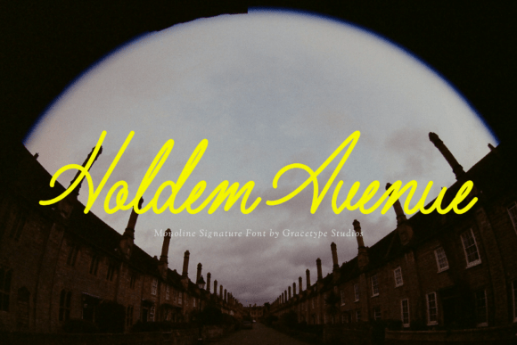 Holdem Avenue: Where Luxury Meets Casual Confidence