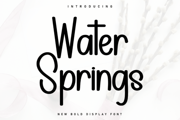 Water Springs: The Marker-Style Font for Modern Branding